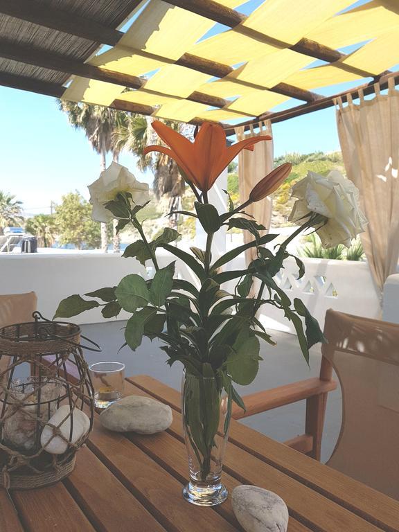 Theo'S Vacation Home Скирос Экстерьер фото